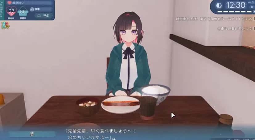 能干的后辈小葵酱全息投影